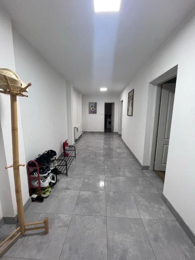 Antic Apartment Požarevac المظهر الخارجي الصورة